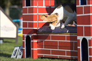 foto: Pavel Humpolec