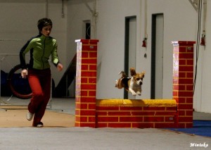 foto: Viktor Topinka - CHS Mintaka