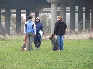 Hlášení rozhodčímu