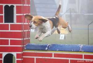 foto: Petr Kozelka - Emiel Regis