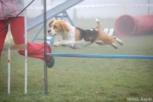 foto: Petr Kozelka - Emiel Regis